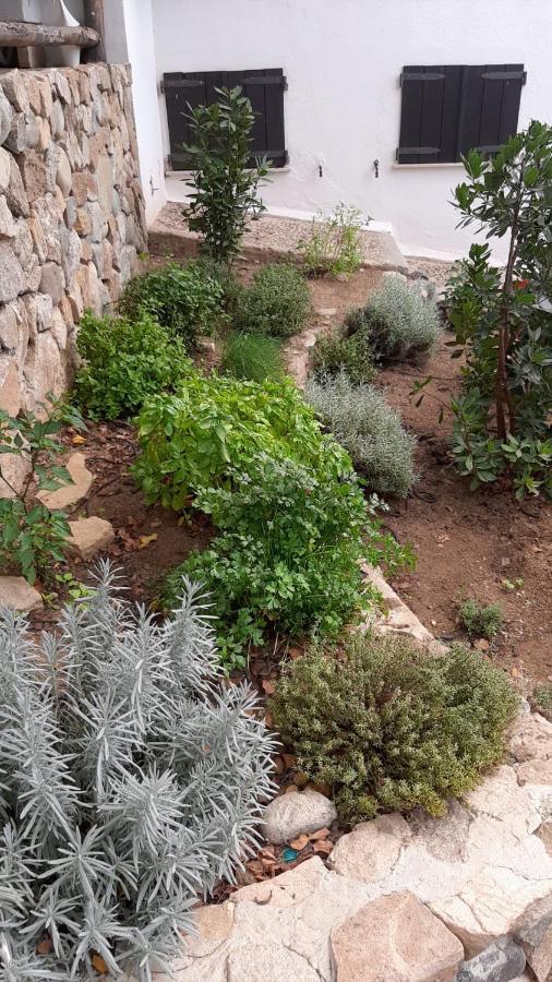 Limone Daire Capitana Dış mekan fotoğraf